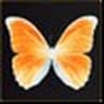 SuzannahFraker avatar